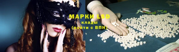 эйфоретик Аркадак