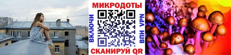 Псилоцибиновые грибы мухоморы  Купить где  Яблоновский 